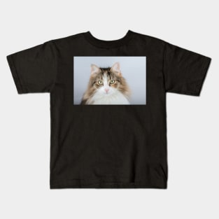 Long Hair tortoiseshell cat Kids T-Shirt